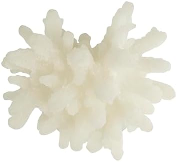 Deco 79 White Coral Sculpture with Acrylic Base