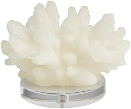 Deco 79 White Coral Sculpture with Acrylic Base