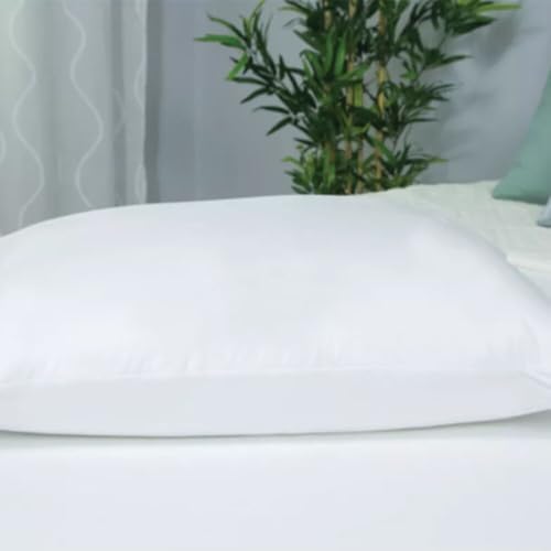 Pacific Coast Feather Protect-A-Bed Cool Pillow Protector - Queen 1
