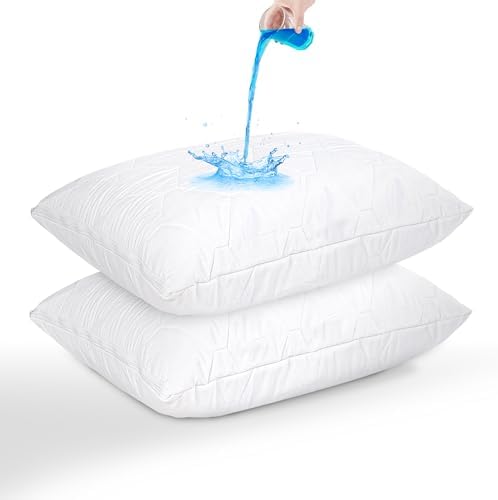 Ruili 2 Pack Queen Size Zippered Pillow Protector