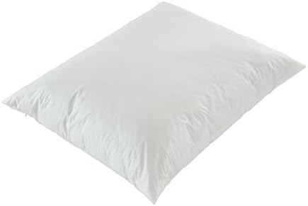 Bargoose Vinyl Zippered King Pillow Protector - 2 Pack