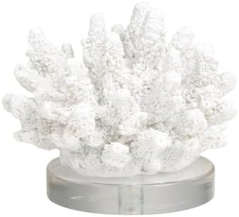 Deco 79 White Coral Sculpture with Acrylic Base