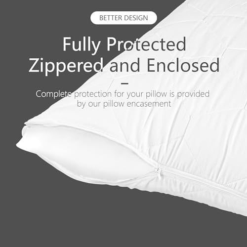 Ruili 2 Pack Queen Size Zippered Pillow Protector