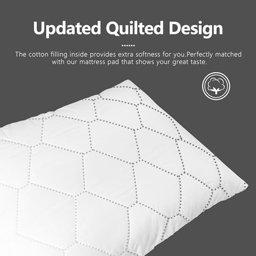 Ruili 2 Pack Queen Size Zippered Pillow Protector