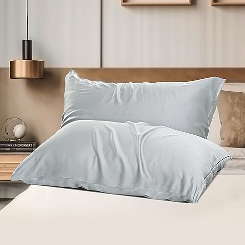 ShunjieHome 2 Pack Bamboo Viscose Pillow Protectors