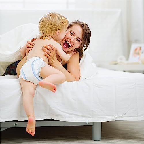 EASYCOT 800TC Egyptian Cotton King Pillowcases Set of 2