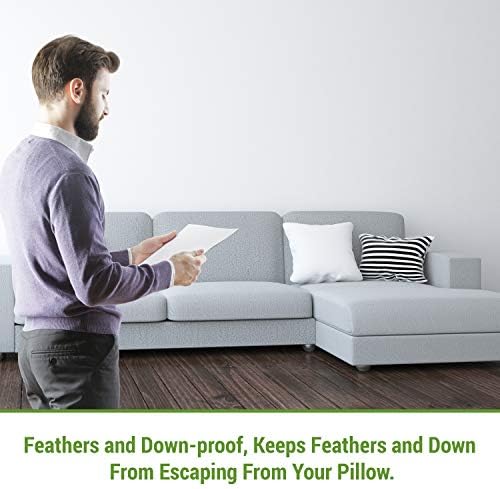 Hudson Comfort 30x30 Pillow Protector 2 Pack