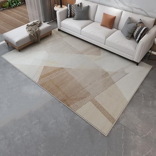 Dalumian Graphene Heated Rug with Waterproof Soft Plush