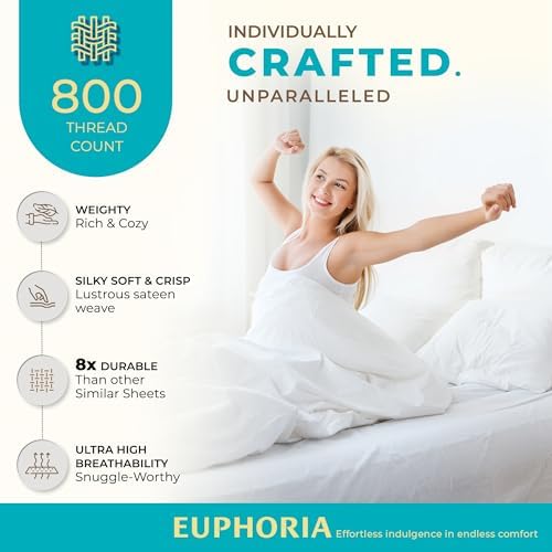 Thread Spread Queen Size Cotton Sateen Pillowcases