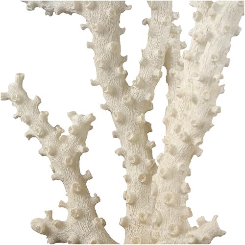 Deco 79 Cream Coral Sculpture with Clear Acrylic Base