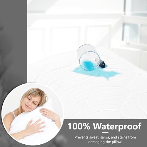 Ruili 2 Pack Queen Size Zippered Pillow Protector
