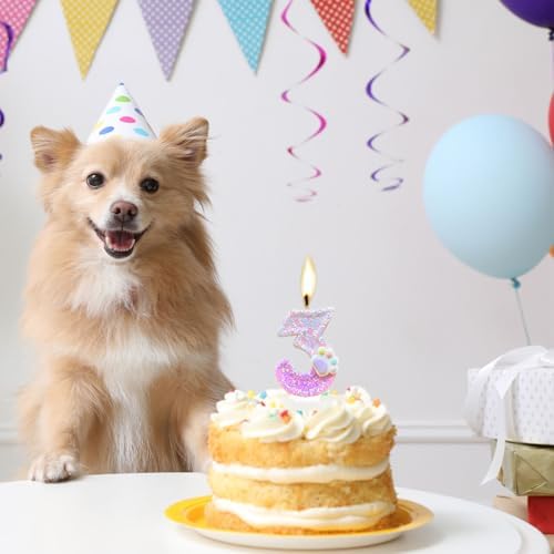 CasaPopz Dog Paw Number 4 Birthday Candle