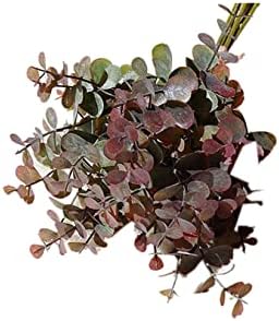 HYN 6 Pcs Plastic Eucalyptus Stems for Decor