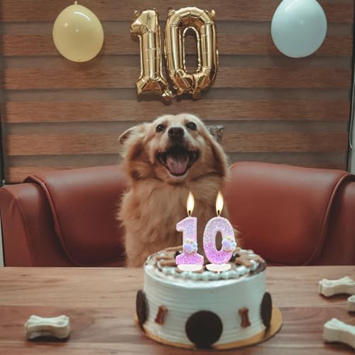 CasaPopz Dog Paw Number 4 Birthday Candle