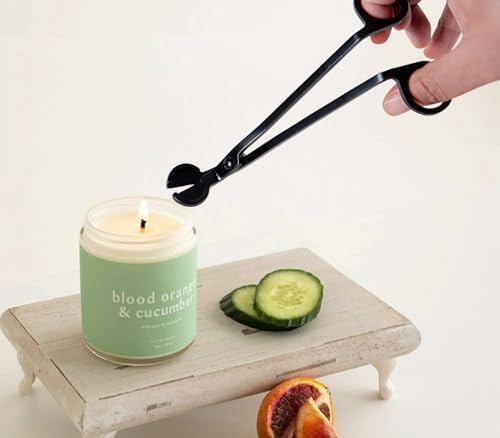 dgudgu Candle Care Kit with Snuffer Trimmer Dipper and Storage Tray
