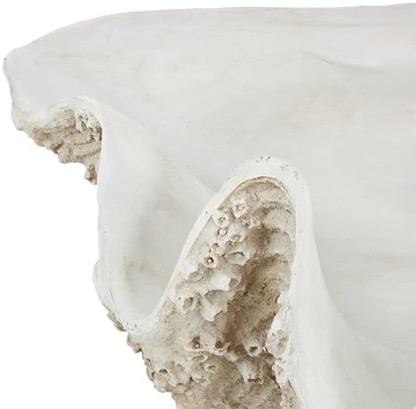 Deco 79 White Polystone Shell Sculpture 34x23x16 1