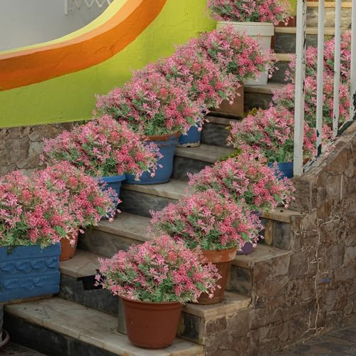 JIFTOK 24Pcs Artificial Fall Flowers for Home Decor