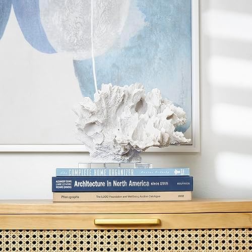Deco 79 White Coral Sculpture with Clear Acrylic Base