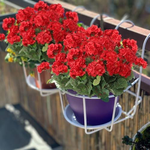 Dremisland 3 Pack Artificial Geranium Flowers