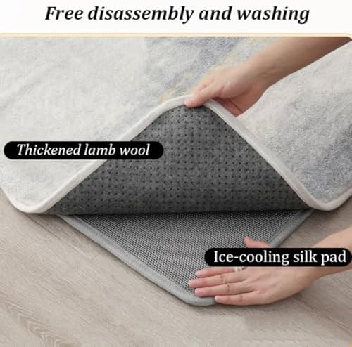 Dalumian Graphene Heated Rug with Waterproof Soft Plush