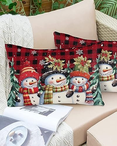 Waterproof Pillow Protectors 2 Pack with Zipper and Plaid Design