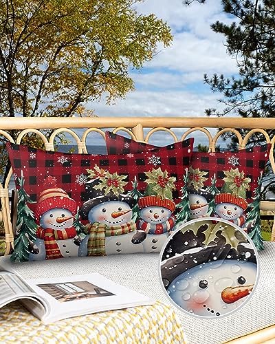 Waterproof Pillow Protectors 2 Pack with Zipper and Plaid Design